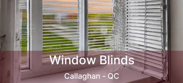  Window Blinds Callaghan - QC