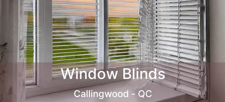  Window Blinds Callingwood - QC