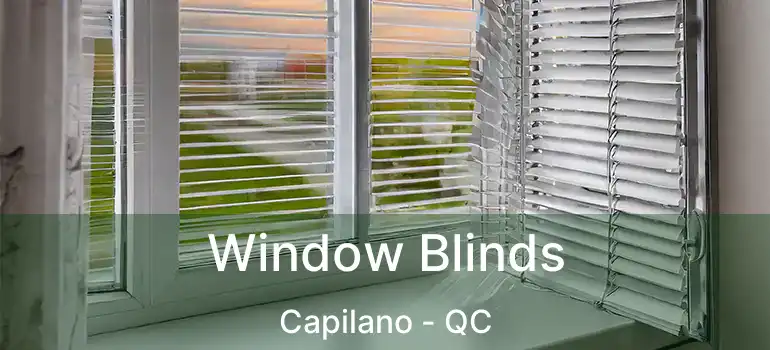  Window Blinds Capilano - QC