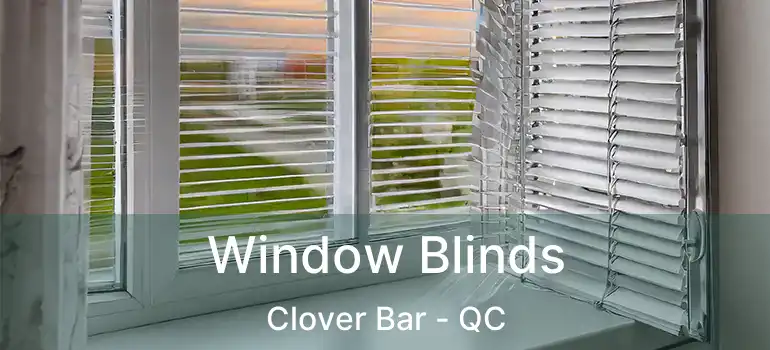  Window Blinds Clover Bar - QC