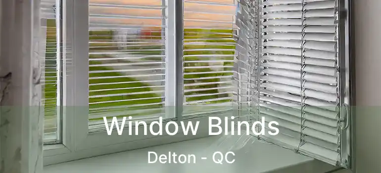  Window Blinds Delton - QC