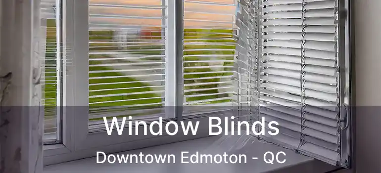  Window Blinds Downtown Edmoton - QC