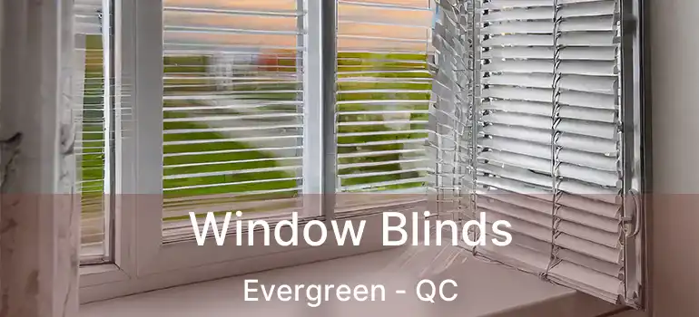  Window Blinds Evergreen - QC