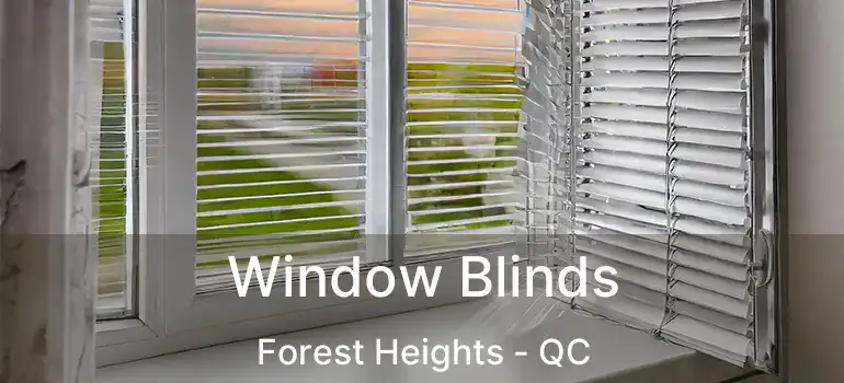  Window Blinds Forest Heights - QC
