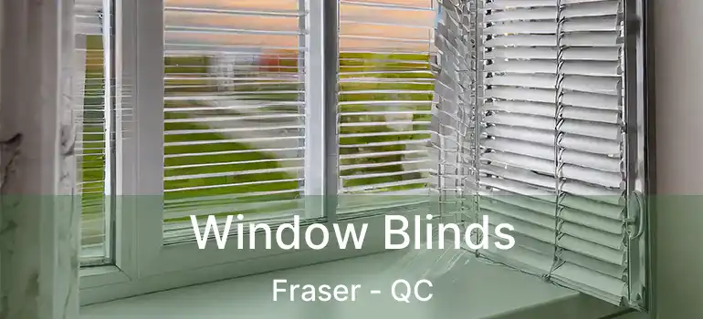  Window Blinds Fraser - QC