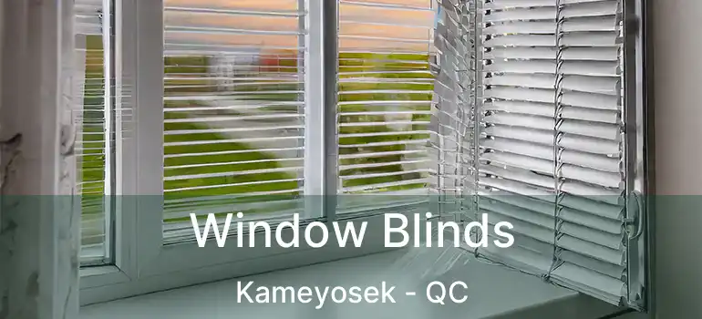  Window Blinds Kameyosek - QC