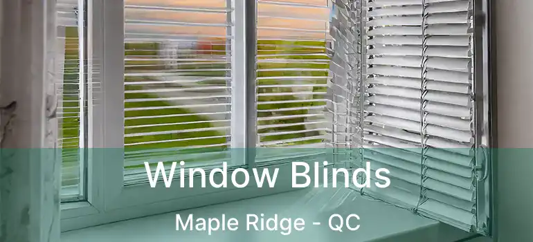  Window Blinds Maple Ridge - QC