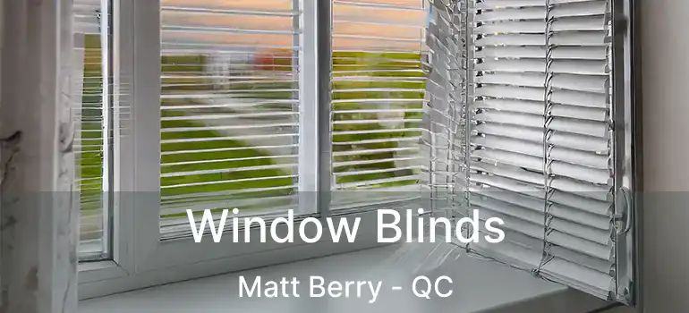  Window Blinds Matt Berry - QC