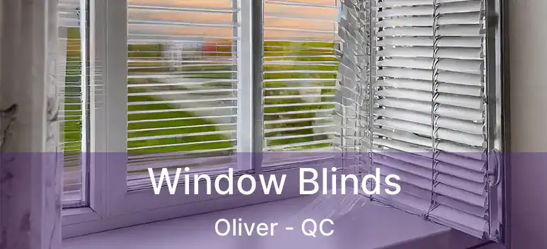  Window Blinds Oliver - QC
