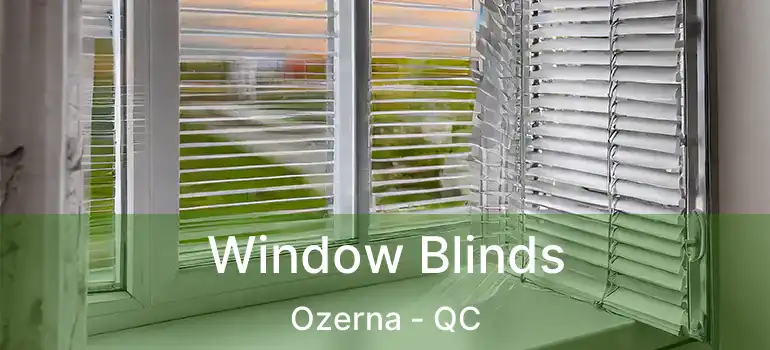  Window Blinds Ozerna - QC