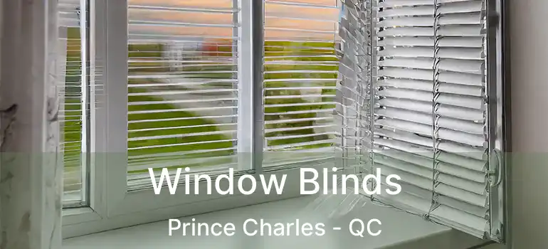  Window Blinds Prince Charles - QC