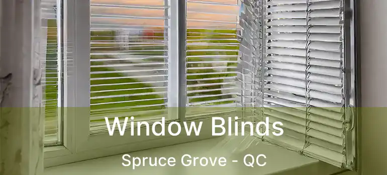  Window Blinds Spruce Grove - QC
