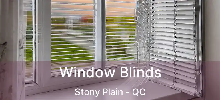  Window Blinds Stony Plain - QC