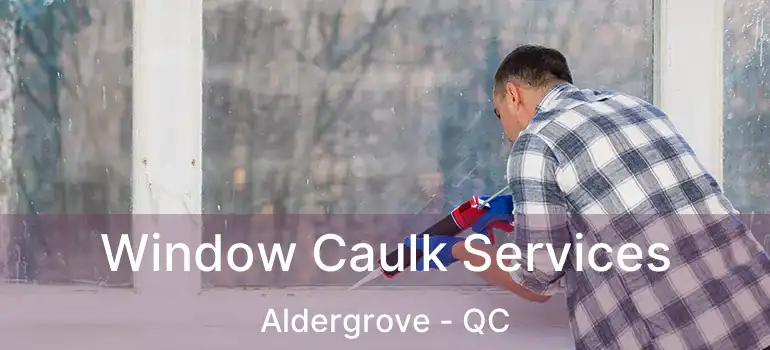  Window Caulk Services Aldergrove - QC
