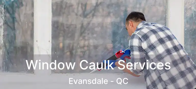  Window Caulk Services Evansdale - QC