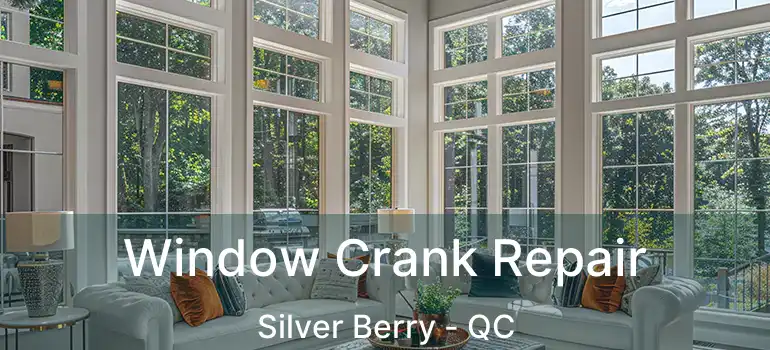  Window Crank Repair Silver Berry - QC