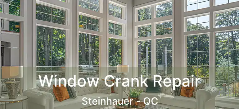  Window Crank Repair Steinhauer - QC