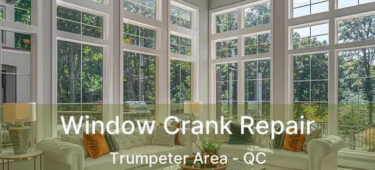  Window Crank Repair Trumpeter Area - QC