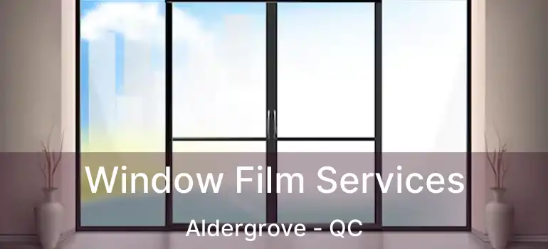  Window Film Services Aldergrove - QC