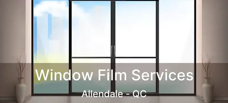  Window Film Services Allendale - QC