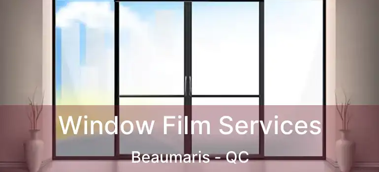 Window Film Services Beaumaris - QC