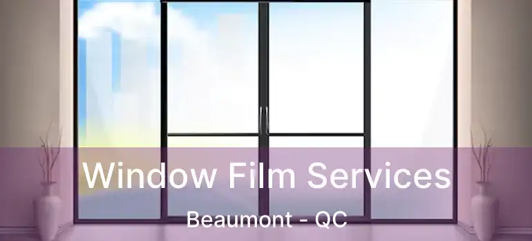  Window Film Services Beaumont - QC