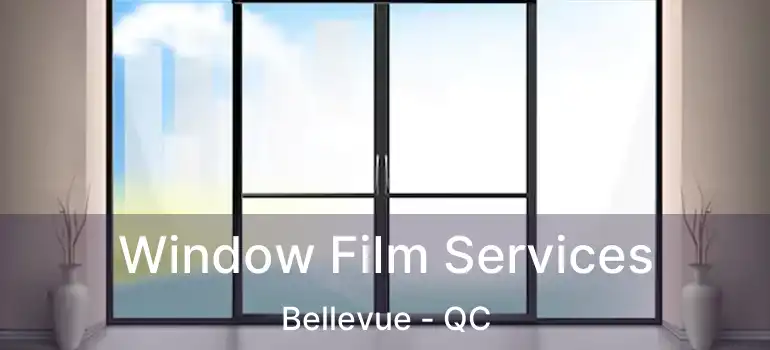  Window Film Services Bellevue - QC