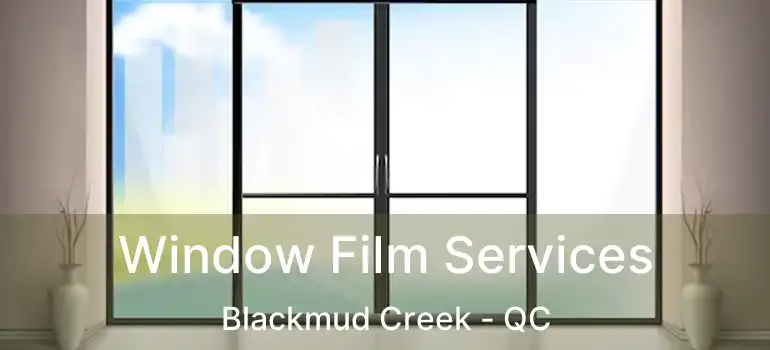  Window Film Services Blackmud Creek - QC