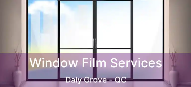  Window Film Services Daly Grove - QC