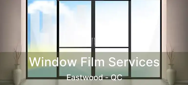  Window Film Services Eastwood - QC