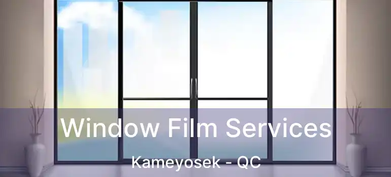  Window Film Services Kameyosek - QC
