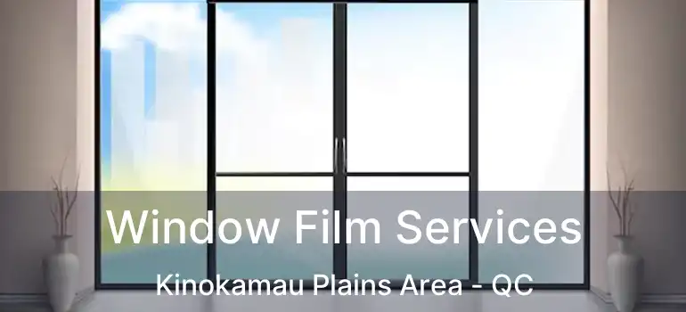  Window Film Services Kinokamau Plains Area - QC