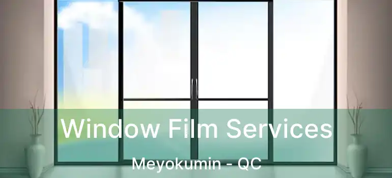  Window Film Services Meyokumin - QC