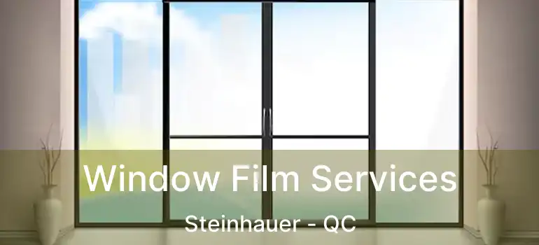  Window Film Services Steinhauer - QC