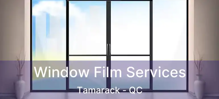  Window Film Services Tamarack - QC
