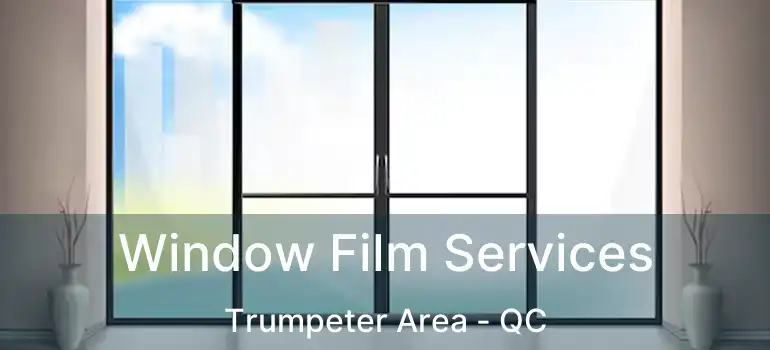  Window Film Services Trumpeter Area - QC