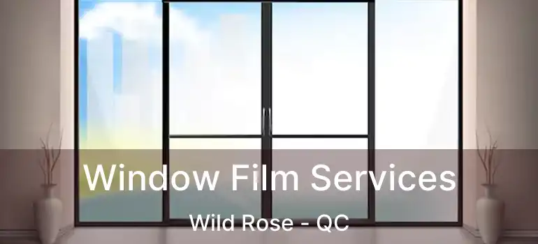  Window Film Services Wild Rose - QC