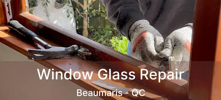  Window Glass Repair Beaumaris - QC