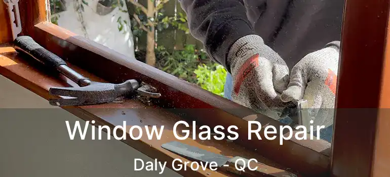  Window Glass Repair Daly Grove - QC