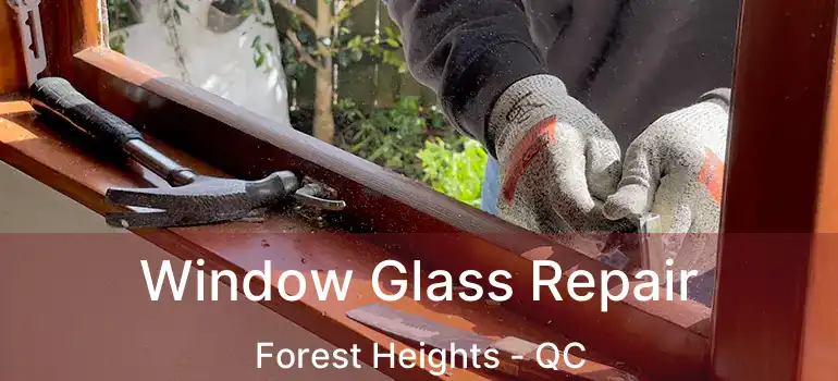  Window Glass Repair Forest Heights - QC
