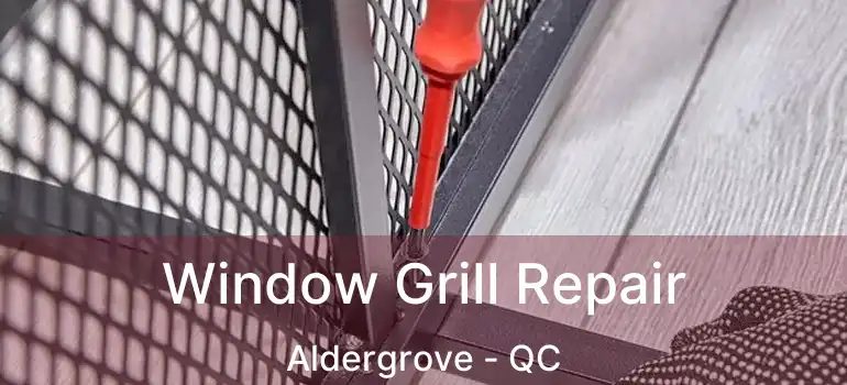  Window Grill Repair Aldergrove - QC