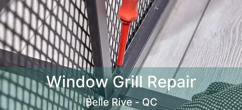  Window Grill Repair Belle Rive - QC