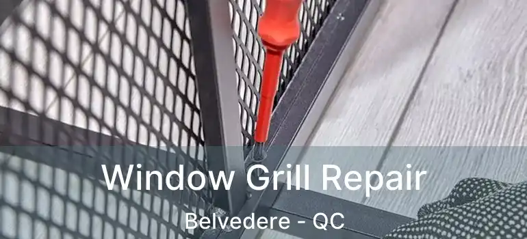  Window Grill Repair Belvedere - QC
