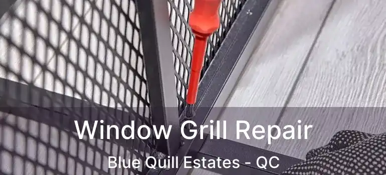  Window Grill Repair Blue Quill Estates - QC