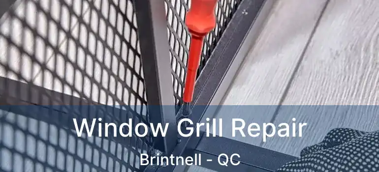  Window Grill Repair Brintnell - QC