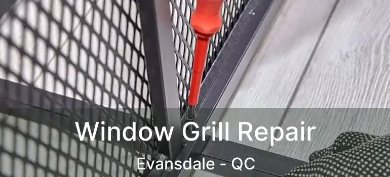  Window Grill Repair Evansdale - QC