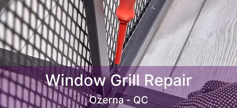  Window Grill Repair Ozerna - QC