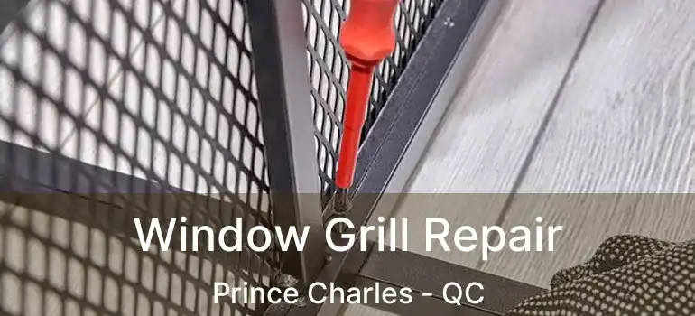  Window Grill Repair Prince Charles - QC