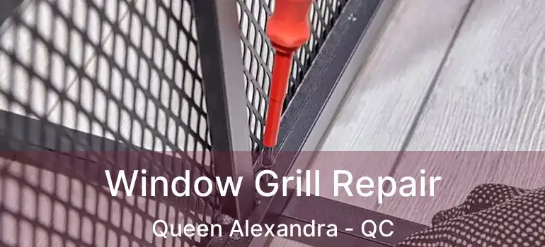  Window Grill Repair Queen Alexandra - QC
