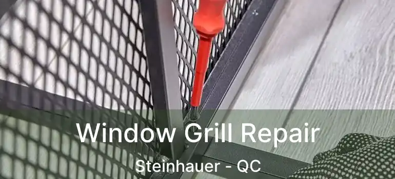  Window Grill Repair Steinhauer - QC